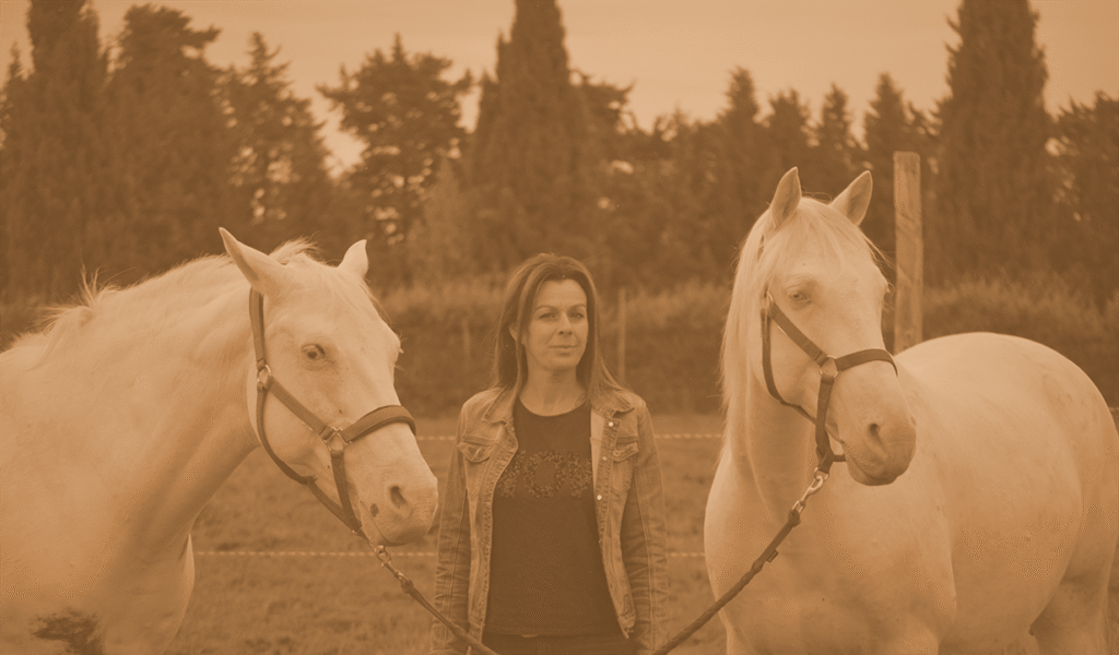 Séance d’équicoaching dans le Vaucluse avec une femme et deux chevaux blancs.