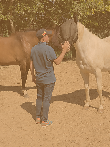 Adulte en développement personnel accompagné d’un cheval lors d’un atelier d’équicoaching